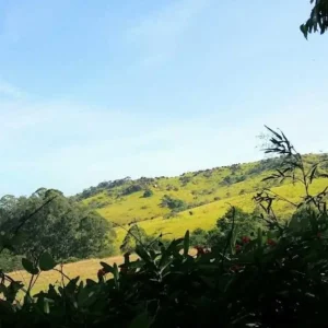 São Paulo – City Tour pelos Sítios e Campos de Itupeva