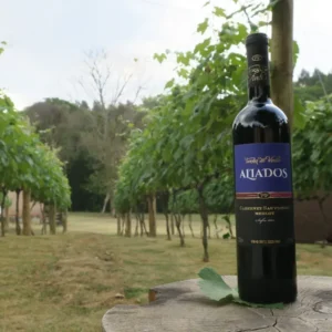 Vinícola Terra do Vinho