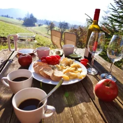 Agroturismo Circuito da Uva e Vinho em Jundiaí Agroturismo Circuito da Uva e Vinho em Jundiaí