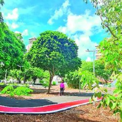 Bosque das Mangueiras